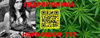 гидра Северобайкальск