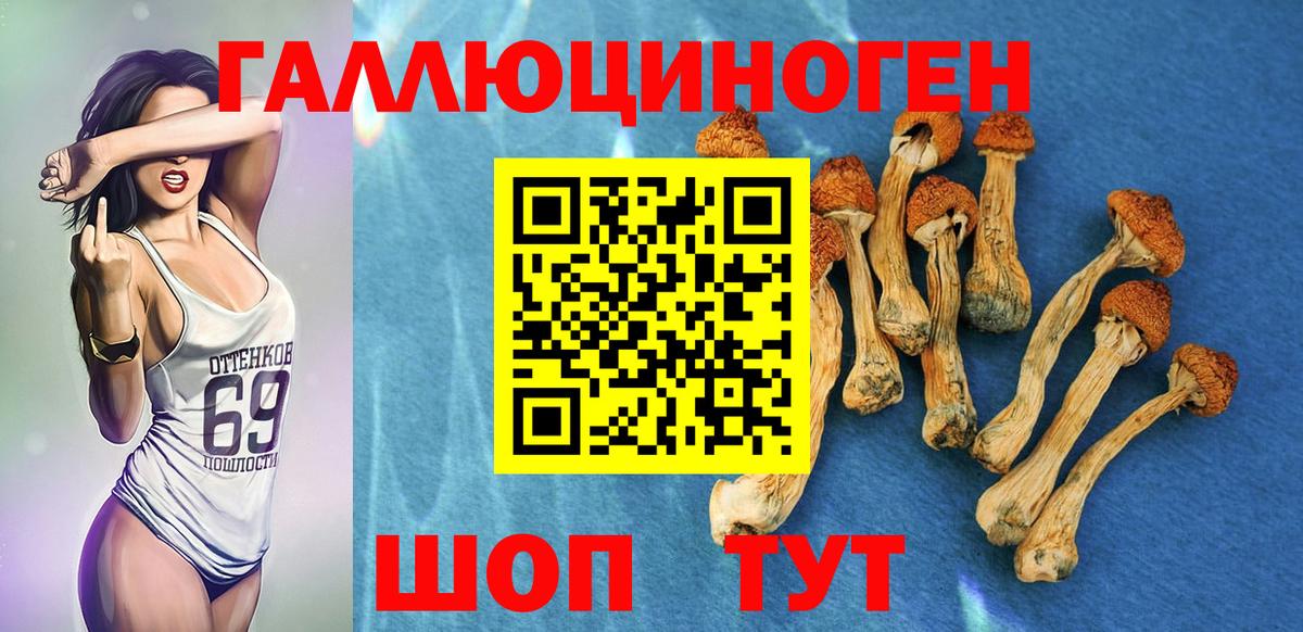 Галлюциногенные грибы ЛСД  Вход с VPN  Рыбинск 