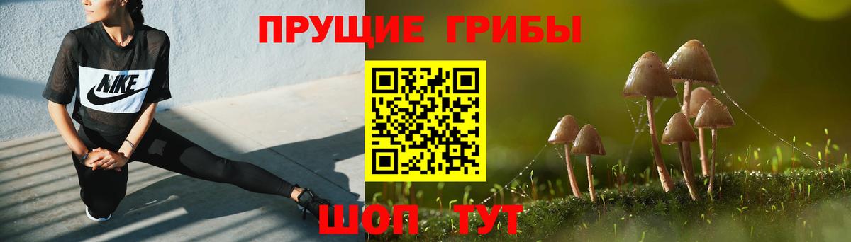 Галлюциногенные грибы GOLDEN TEACHER Рыбинск